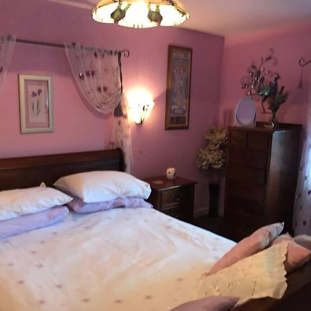 Cosy Cottage For Ecotourism Lovers Near Corwen Εξωτερικό φωτογραφία