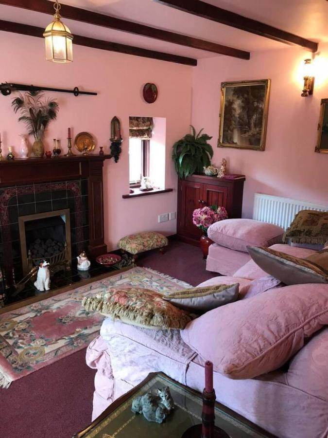 Cosy Cottage For Ecotourism Lovers Near Corwen Εξωτερικό φωτογραφία