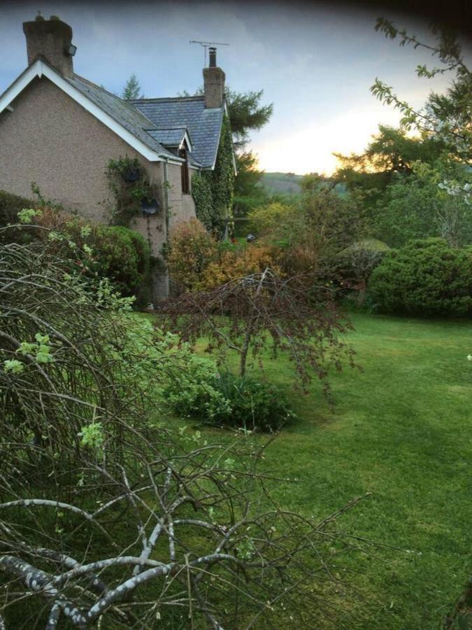 Cosy Cottage For Ecotourism Lovers Near Corwen Εξωτερικό φωτογραφία