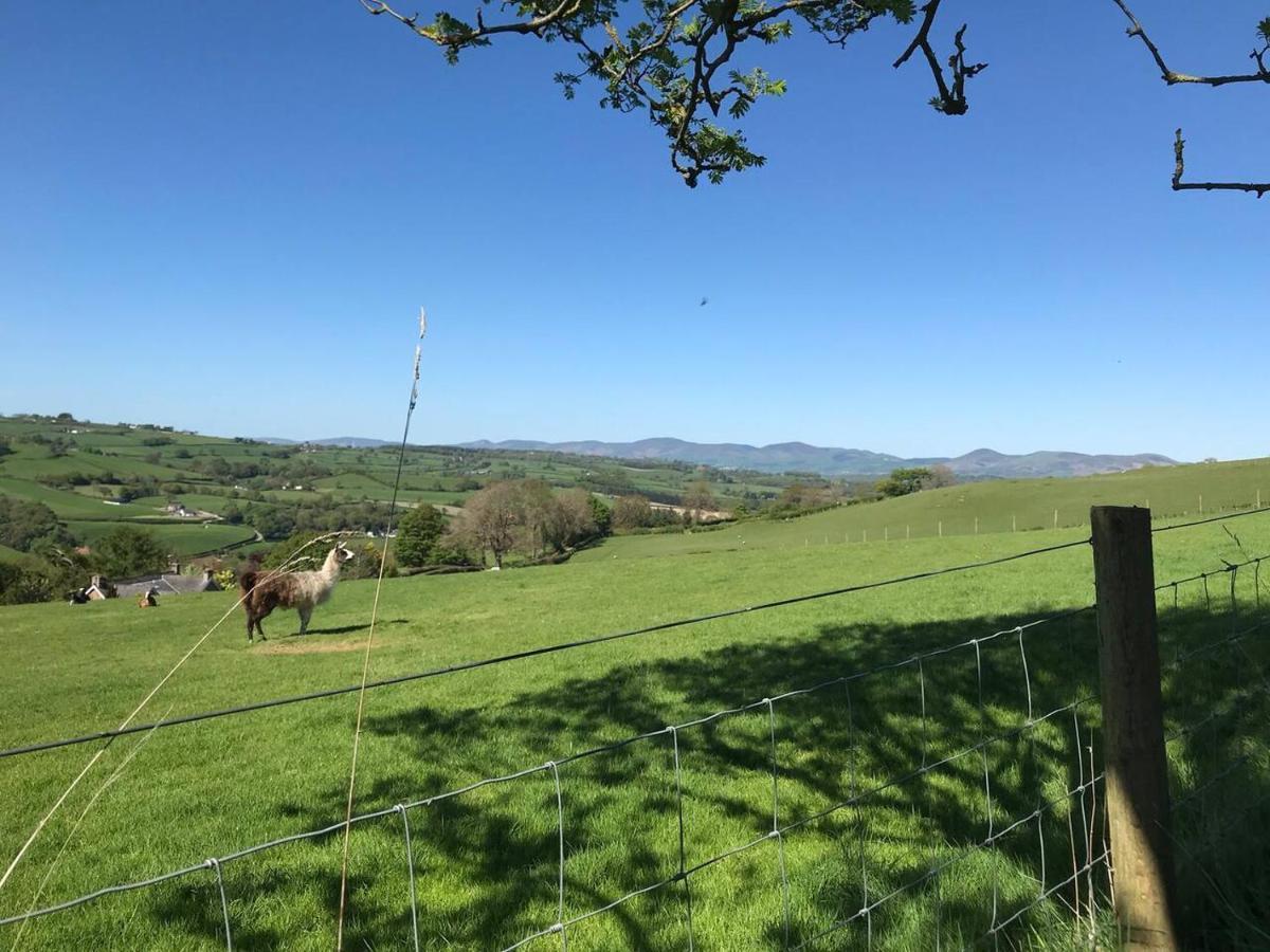 Cosy Cottage For Ecotourism Lovers Near Corwen Εξωτερικό φωτογραφία